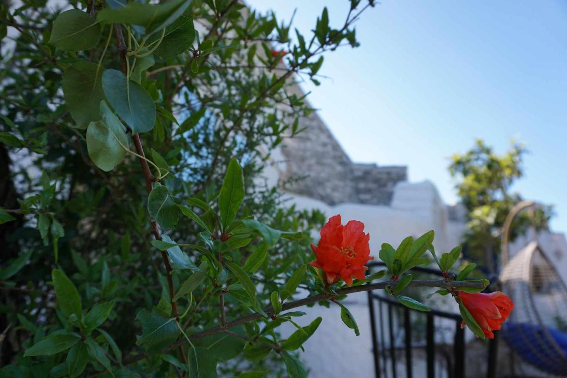 Trullo Biricchino Two Bedroom By Tripostuni Exterior foto